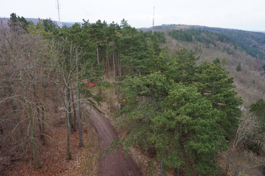 Alteburgturm in Arnstadt - Ausblick von oben