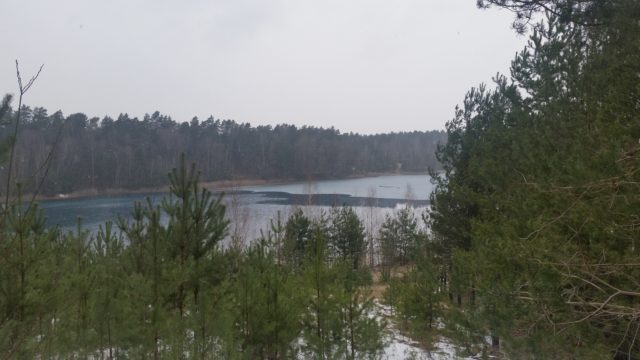 Felixsee Wanderung im Frühjahr