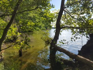 Die 4-Seen-Runde bei Schmöckwitz