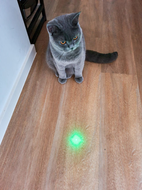 Katzenspielzeug mit Laserpointer